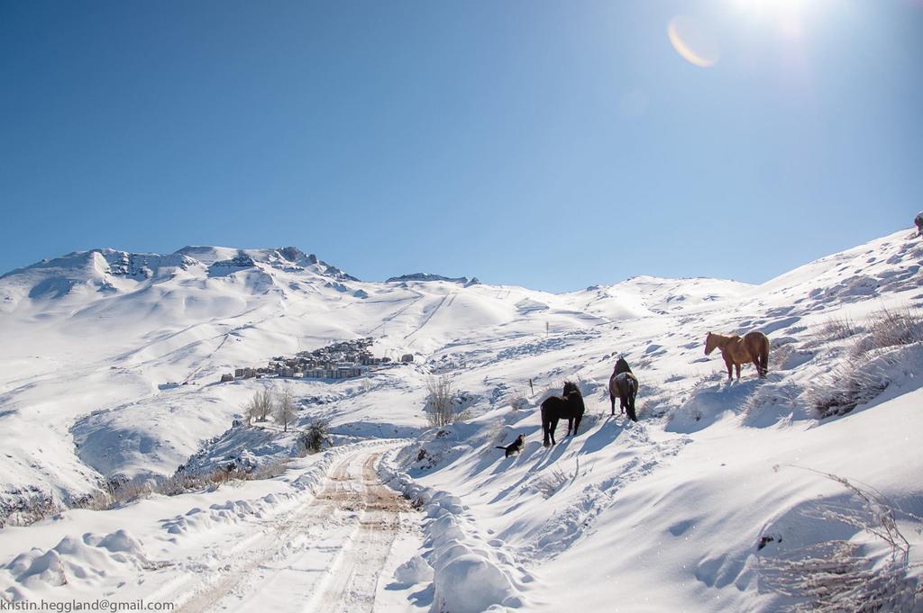 Lodge Cordillera Valle Nevado Exterior photo